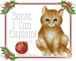 (image for) Santa I Can Explain